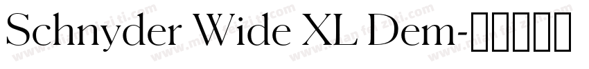 Schnyder Wide XL Dem字体转换